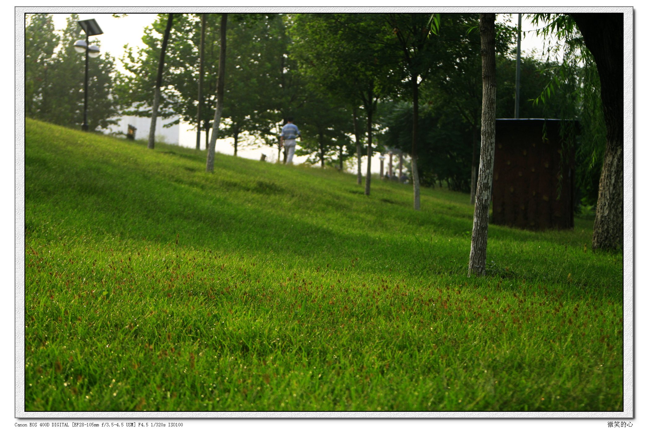 _MG_0503.JPG