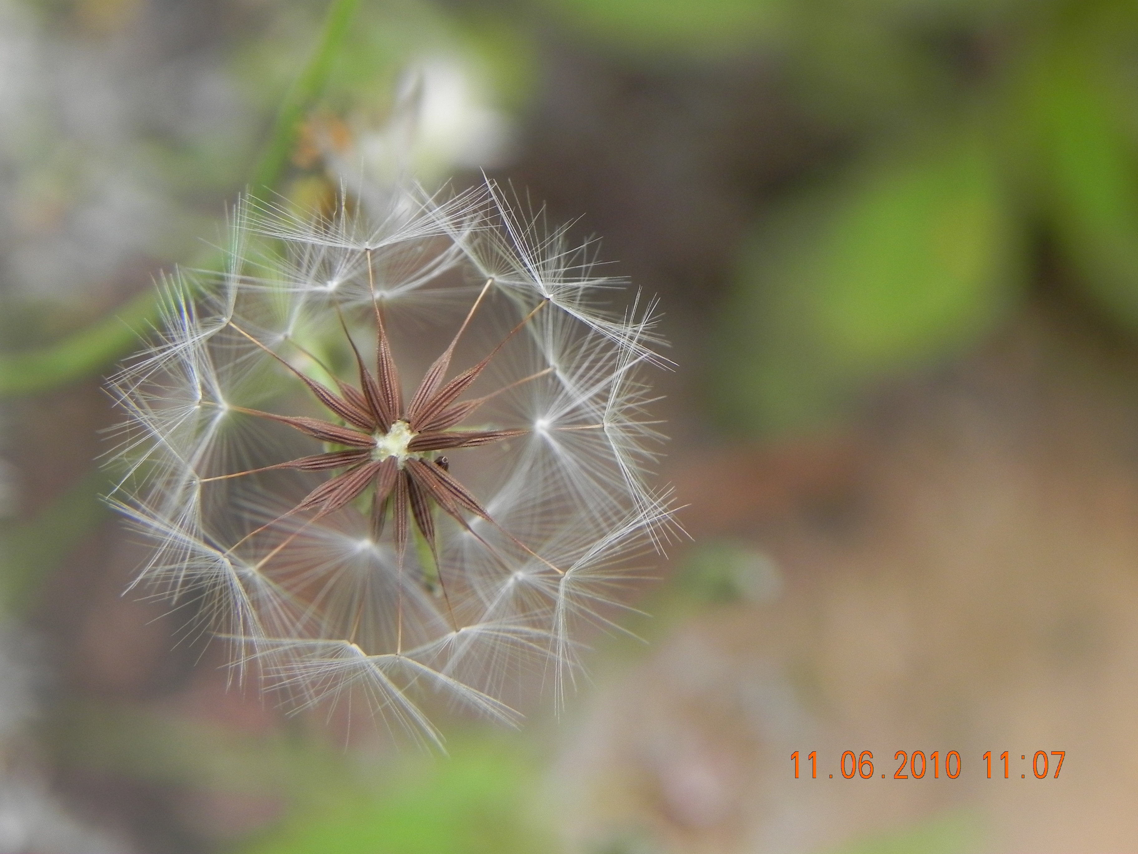 DSCN0971.jpg