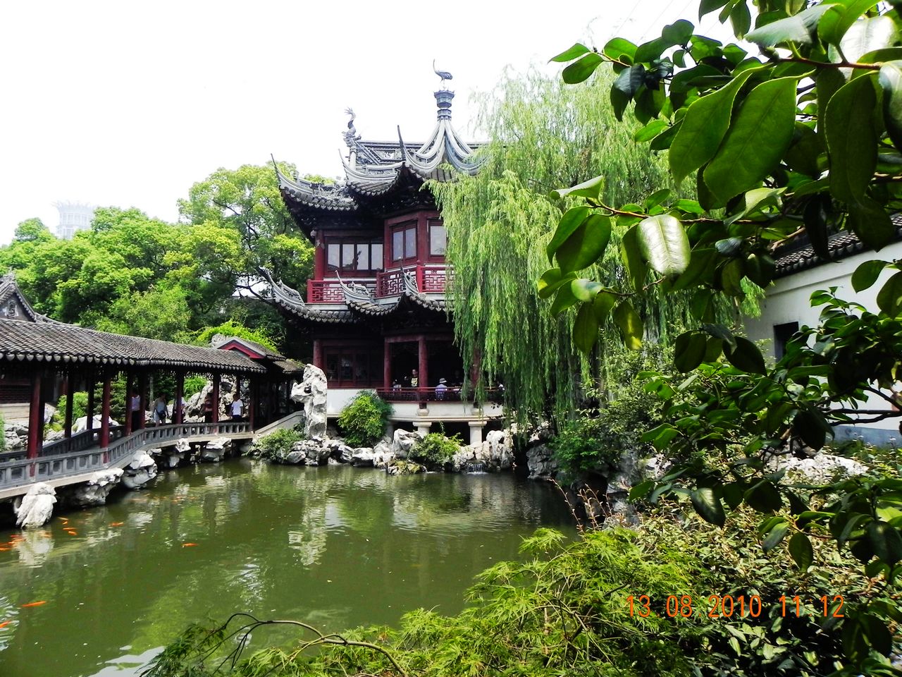 DSCN2406.jpg