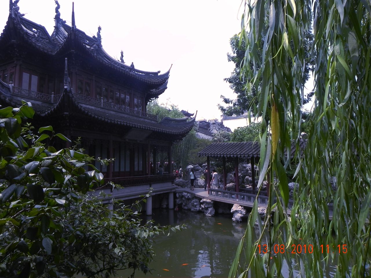 DSCN2408.jpg