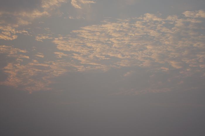 IMGP0580.JPG