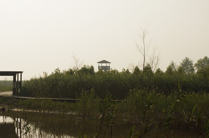 IMGP0600.JPG