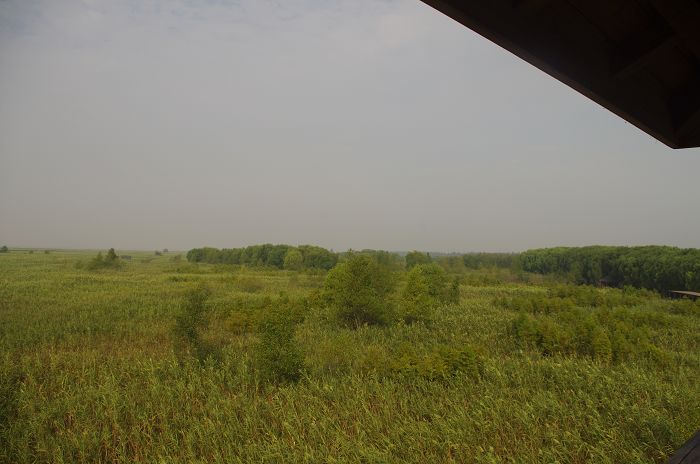 IMGP0613.JPG