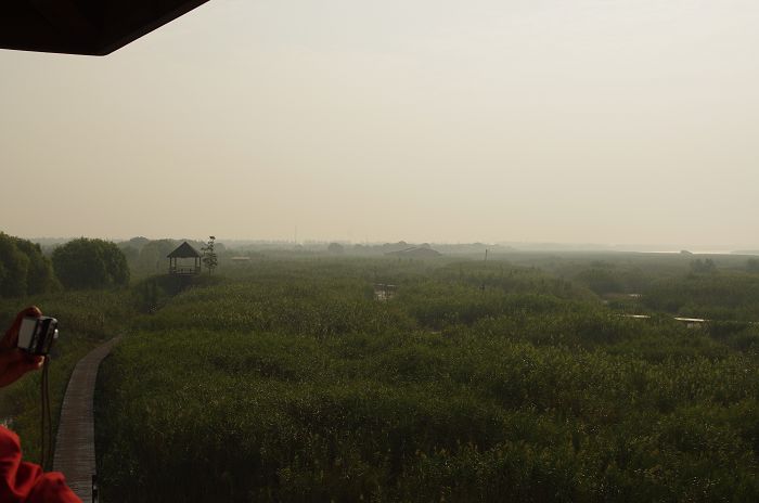 IMGP0617.JPG