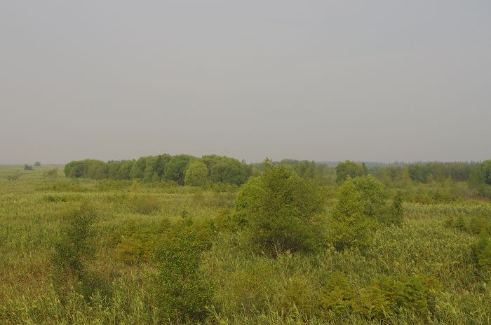 IMGP0618.JPG