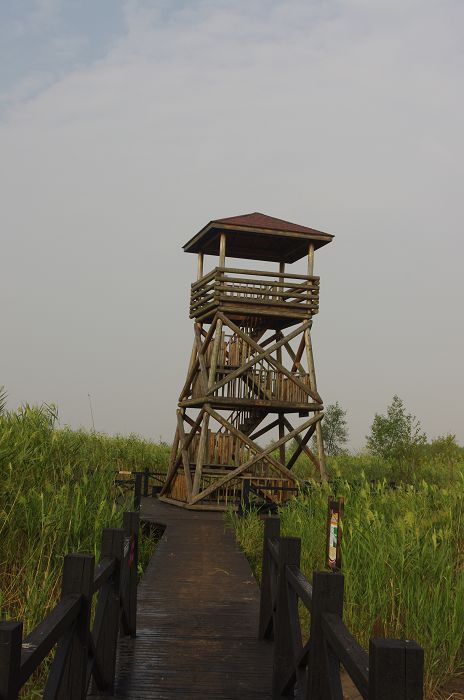 IMGP0620.JPG