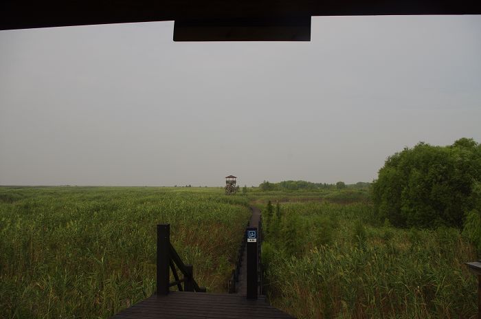 IMGP0628.JPG