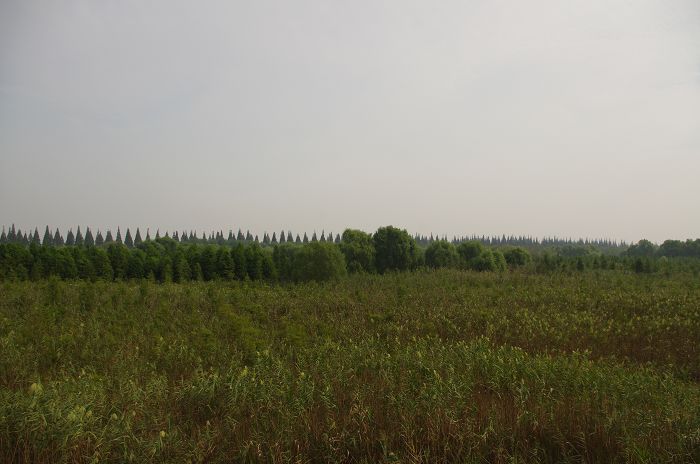 IMGP0630.JPG