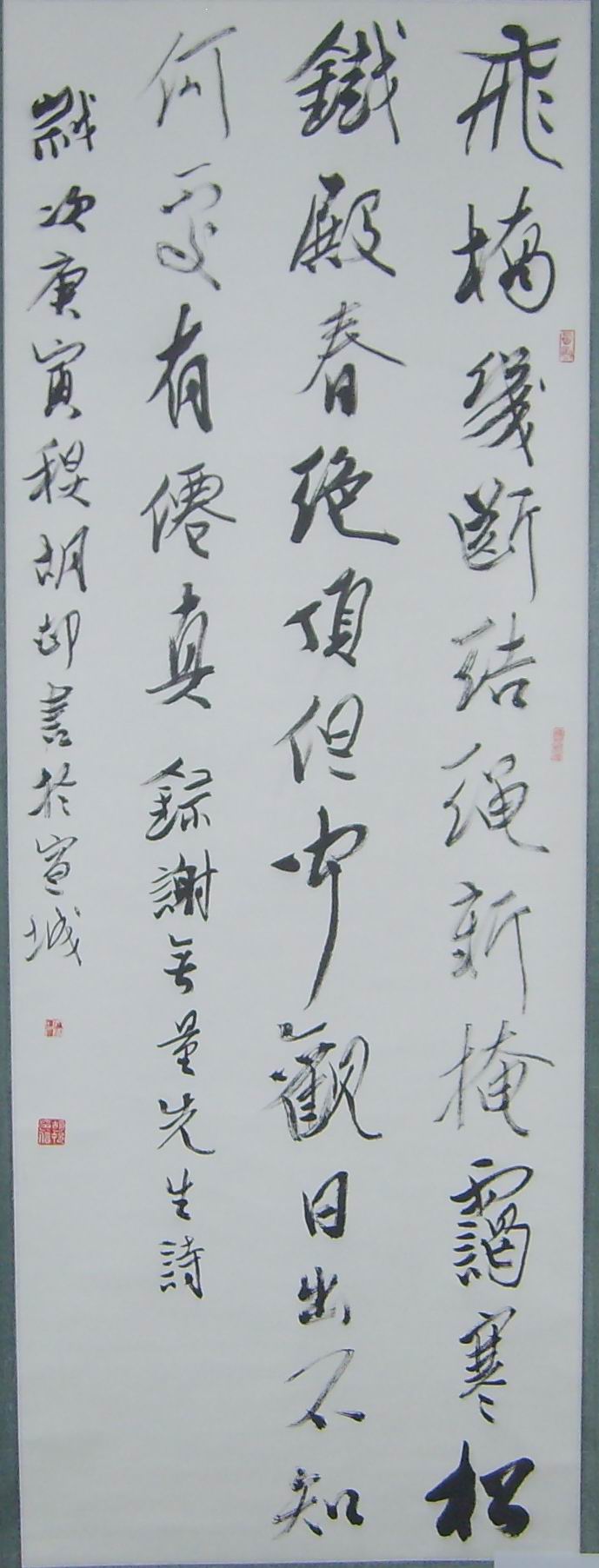S6004063.jpg