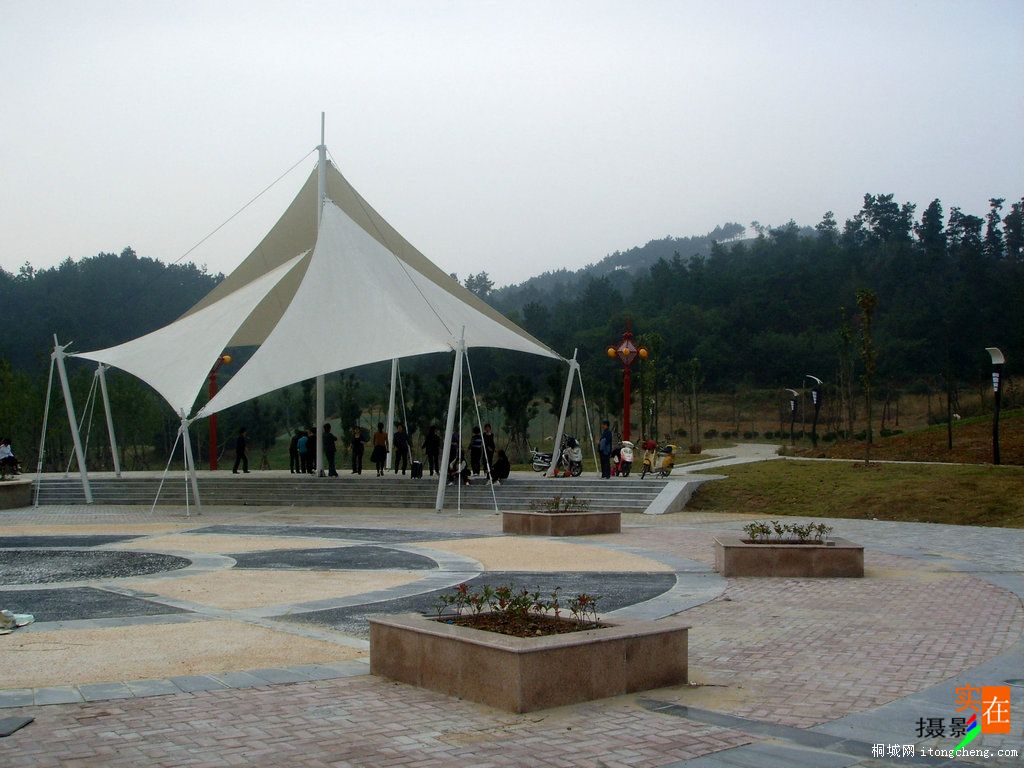 SSL13468.JPG
