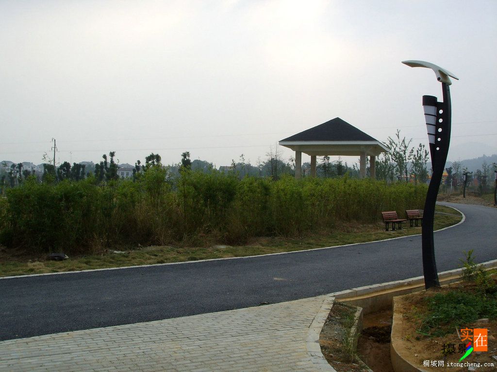 SSL13476.JPG