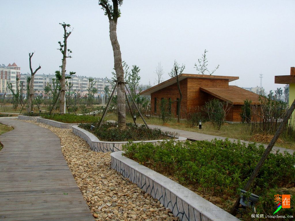 SSL13477.JPG