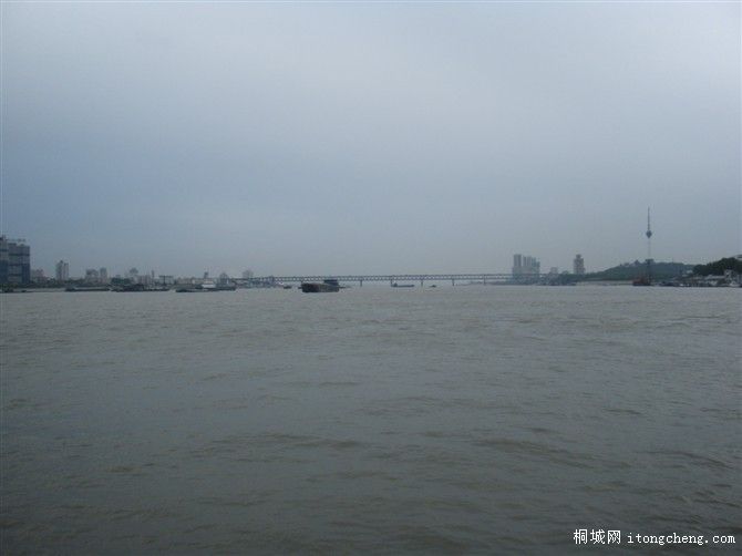 e1ff899a-0699-4109-abc6-e0dd283be226_800X600.jpg