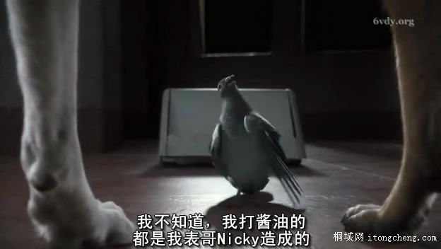 ���Ӵ���