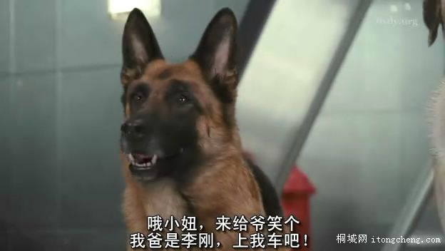 �����ְ������