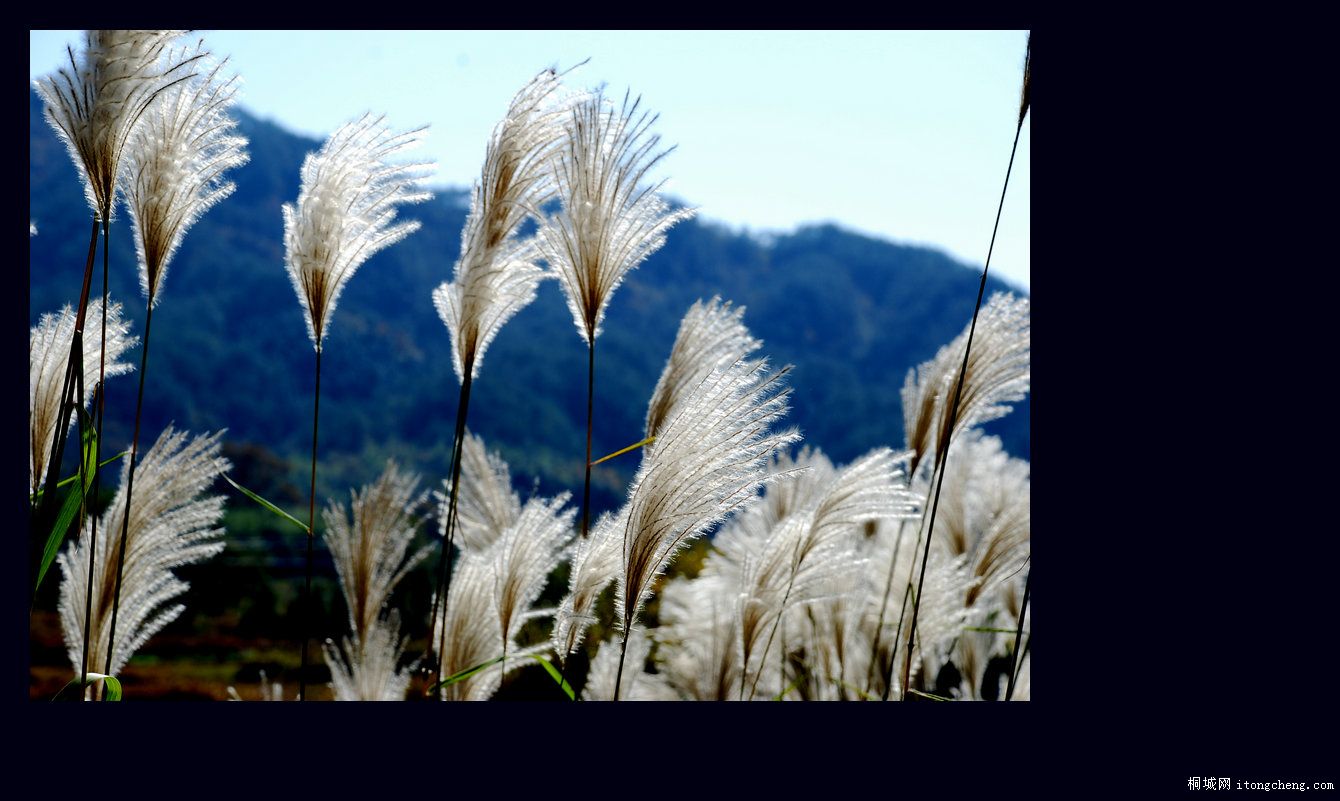 һ·޵2.jpg