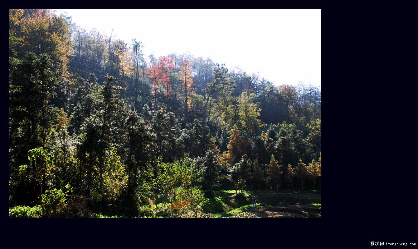 һ·޵6.jpg
