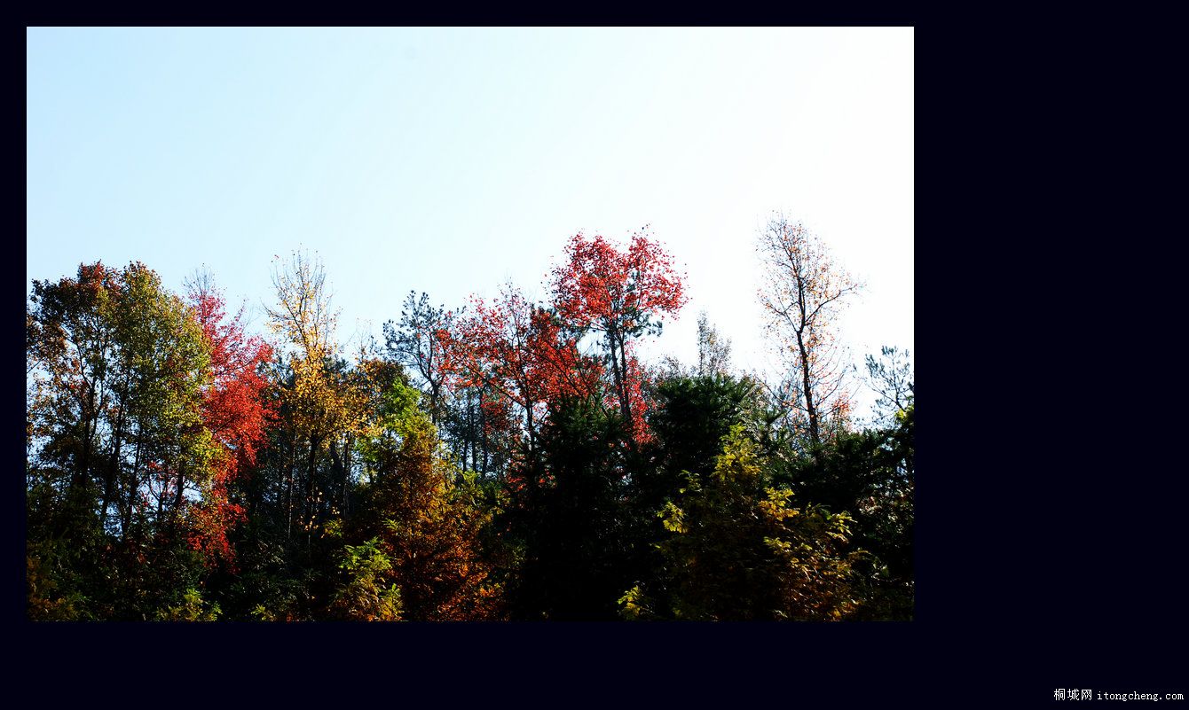 һ·޵8.jpg