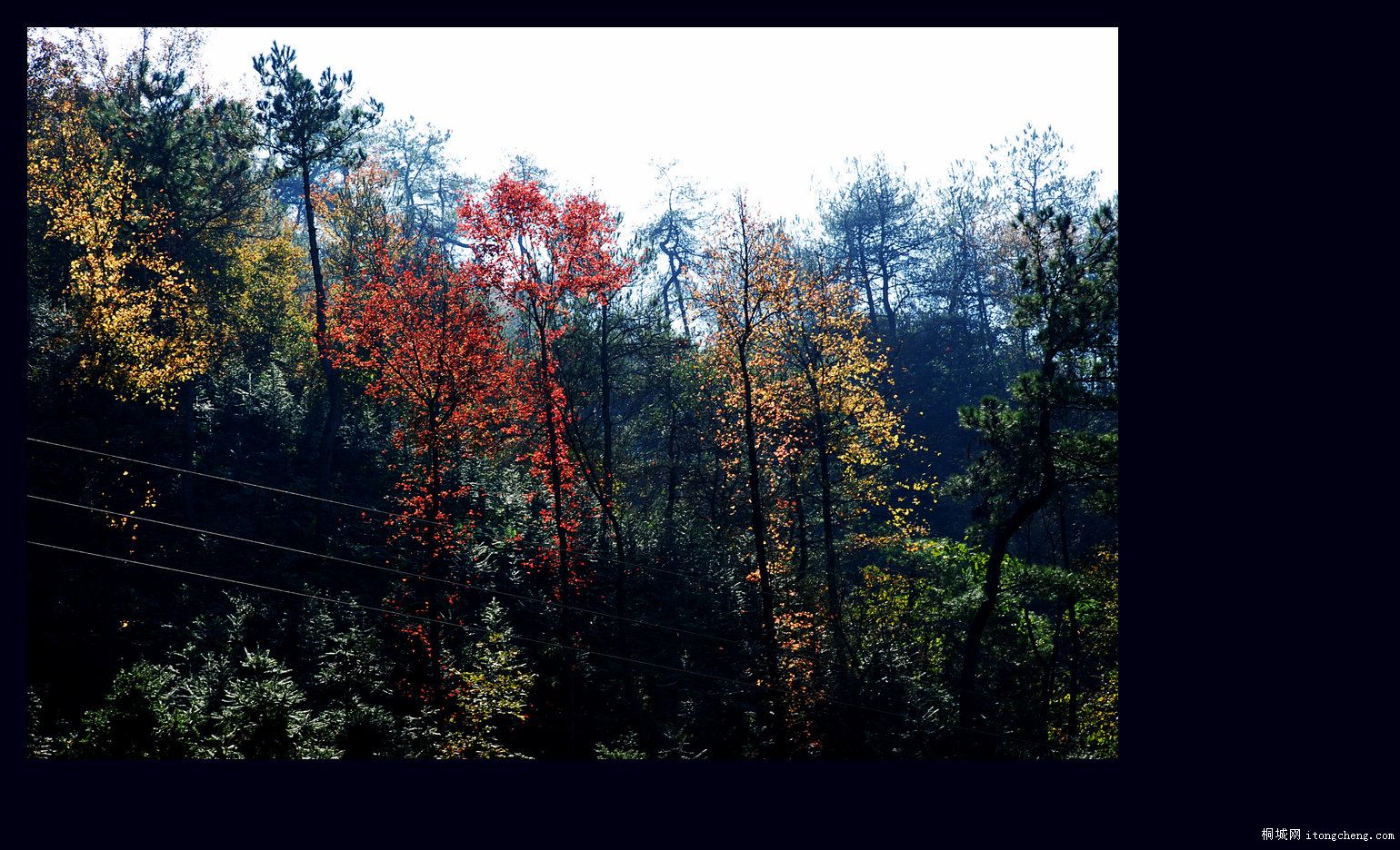 һ·޵9.jpg