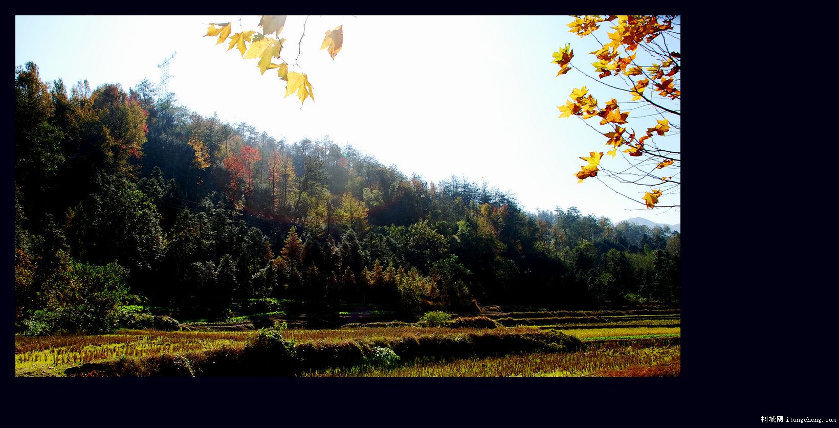 һ·޵10.jpg