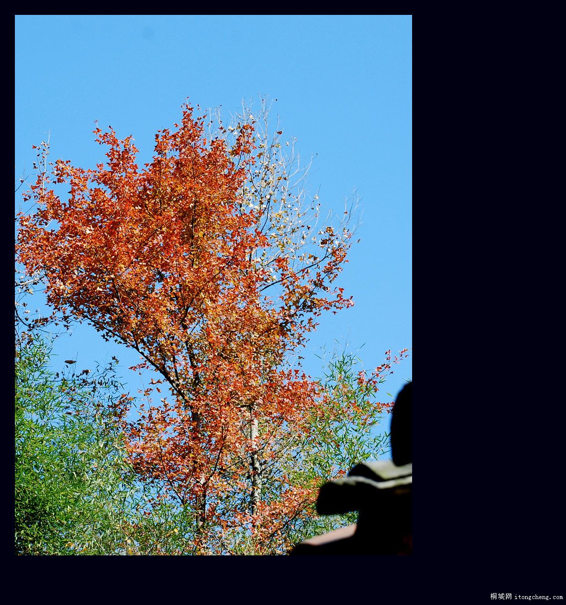 һ·޵11.jpg