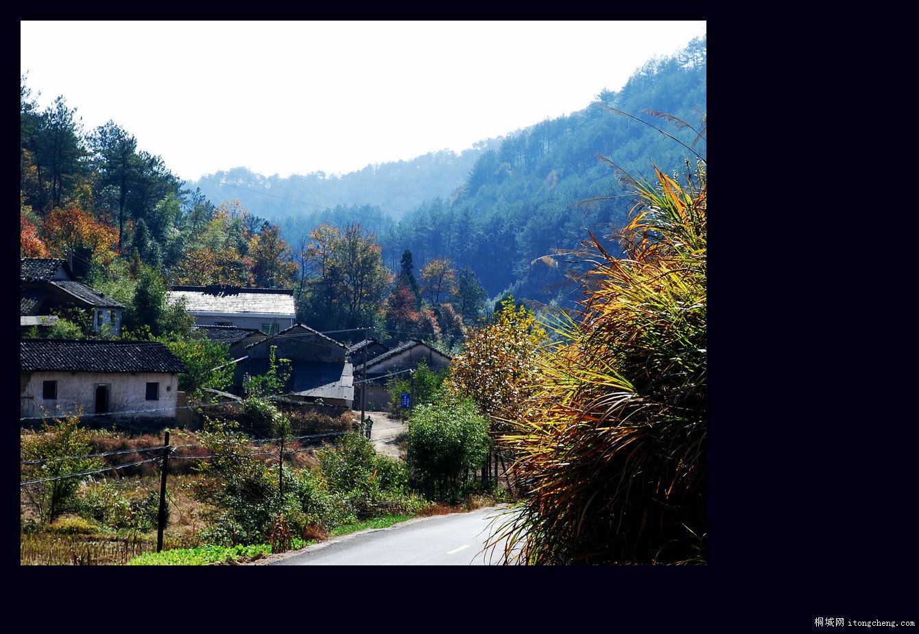 һ·޵19.jpg