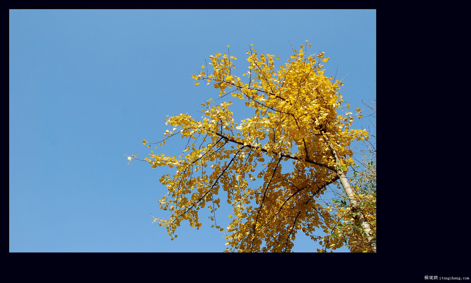 һ·޵22.jpg