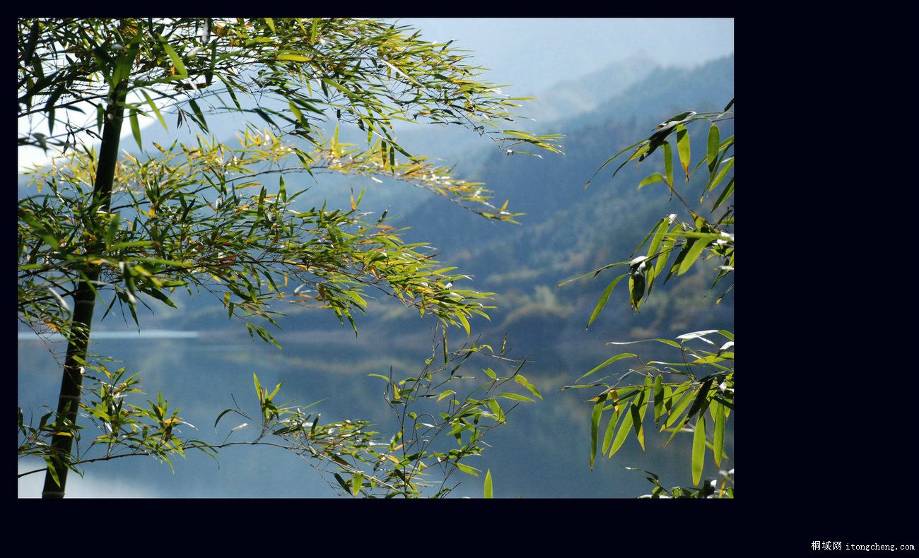 һ·޵34.jpg