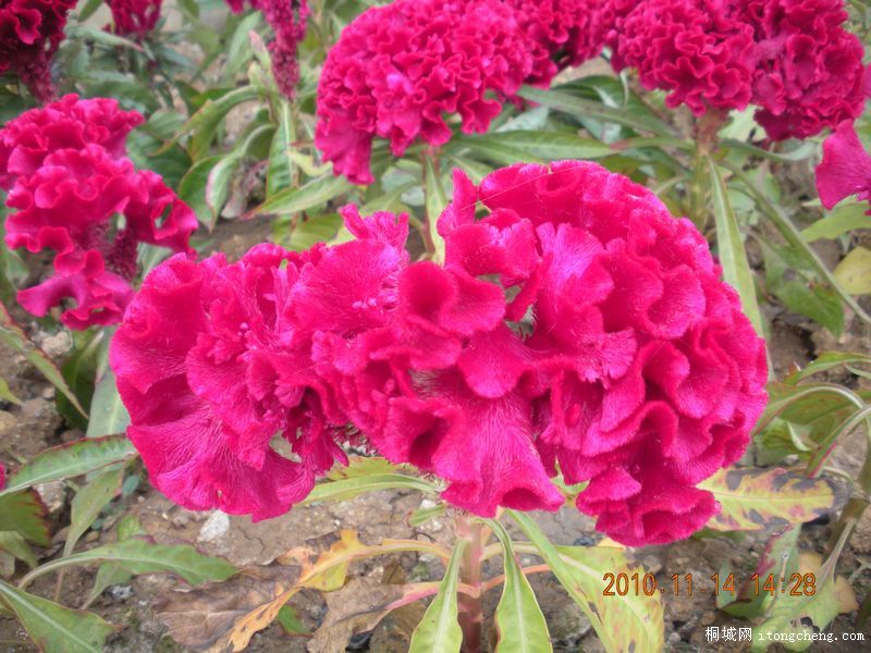 DSCN2854.JPG
