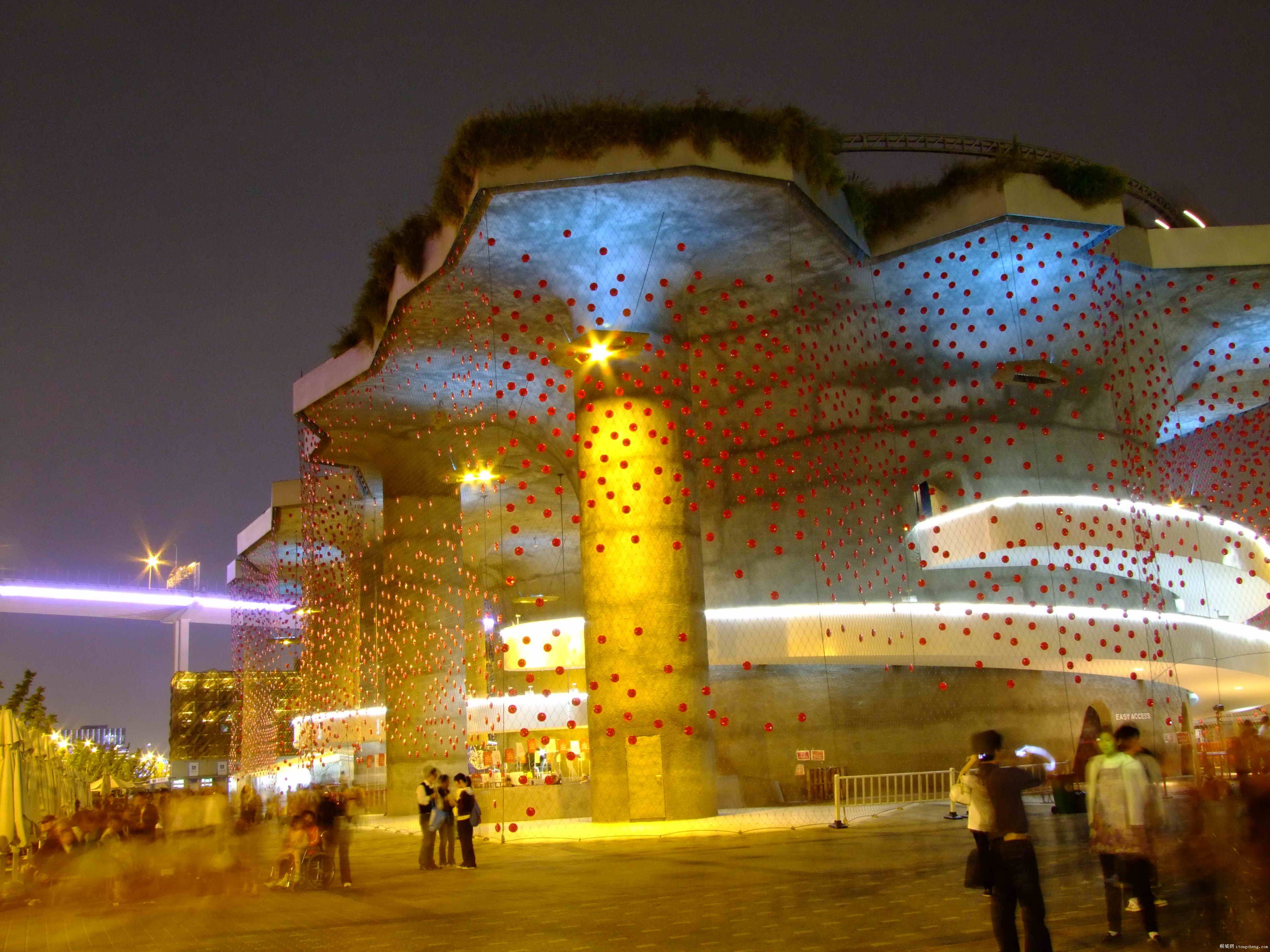 DSCF0195.jpg