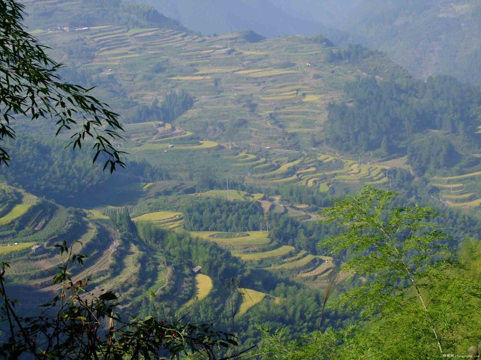 DSCF0215.JPG