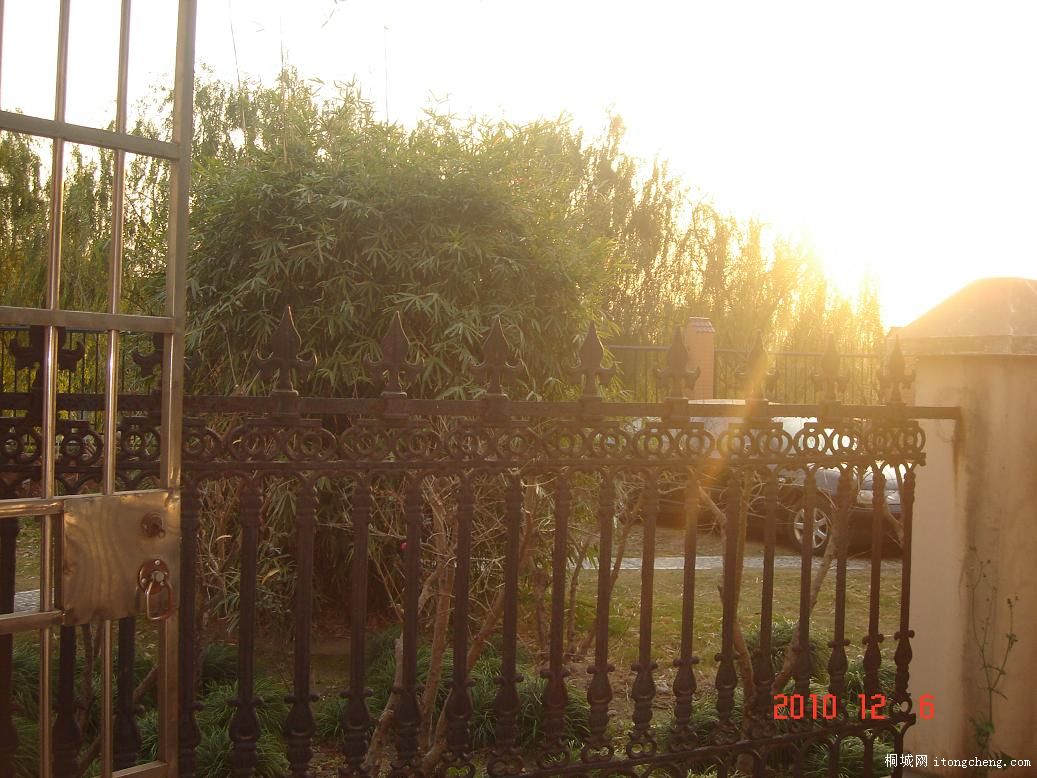 DSC05666.JPG