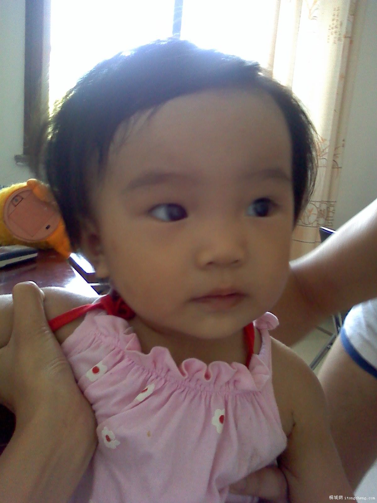 23-08-10_1231.jpg