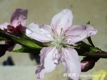 һ (11).JPG
