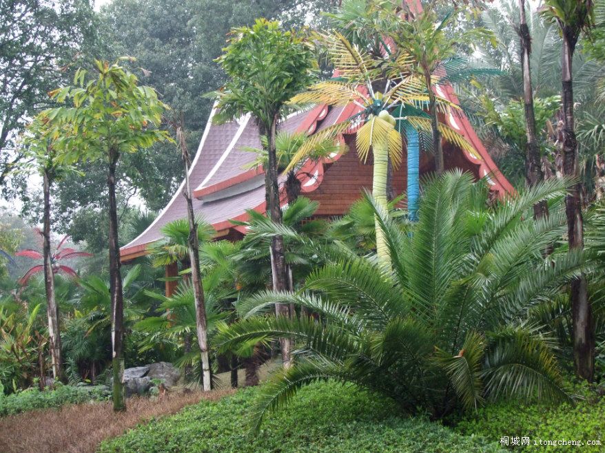 79.jpg
