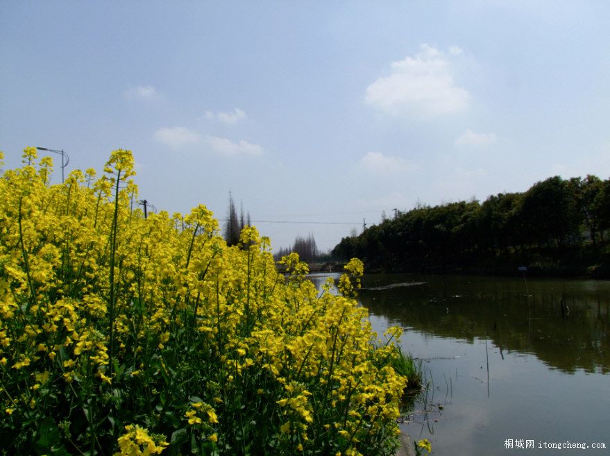 DSCF0008.JPG