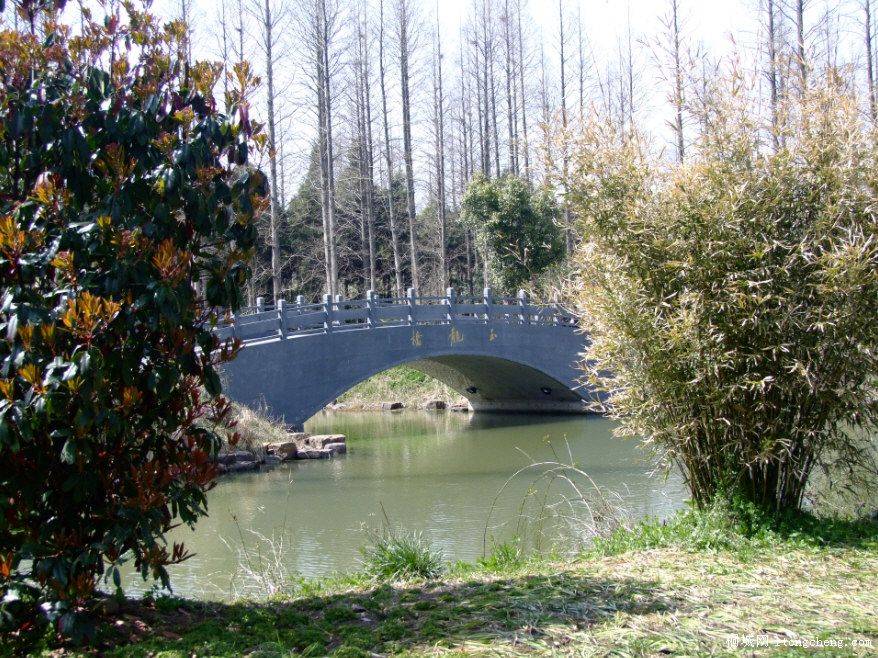 DSCF0024.JPG