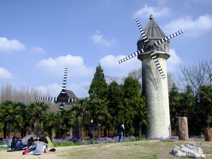 DSCF0050.JPG
