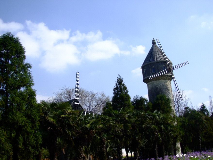 DSCF0052.JPG