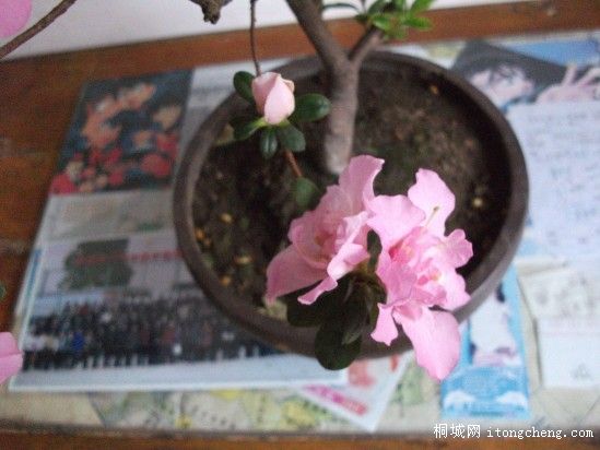 conew_Ƭ 008.jpg