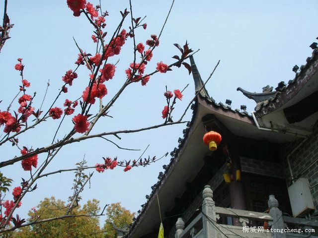 ӹ (15).JPG