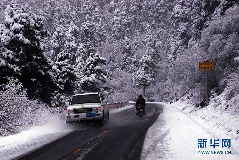 ��Ư��ѩ��