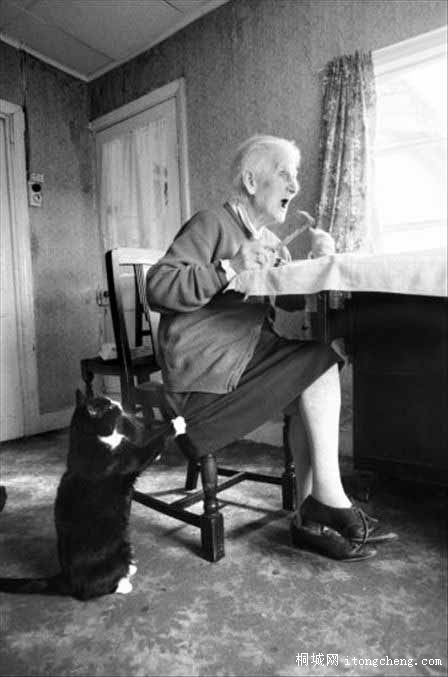 ��Է���è��Andy Palmer��Ӣ��.jpg