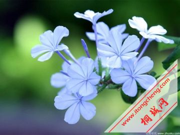 7ee02fa4435550e3caefd02a.jpg