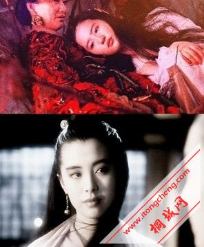 ֻ��һ��Сٻ