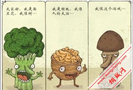 ֲ���ս��ʬ���Ģ��˵�����һ��������ӵ��أ�