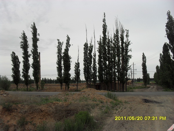 SDC11514.JPG