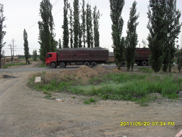 SDC11518.JPG