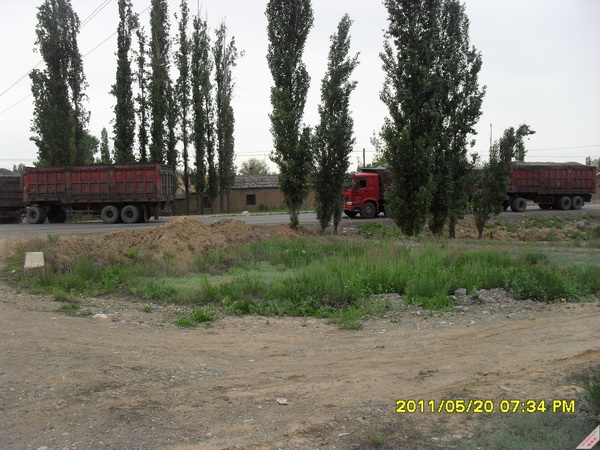SDC11519.JPG