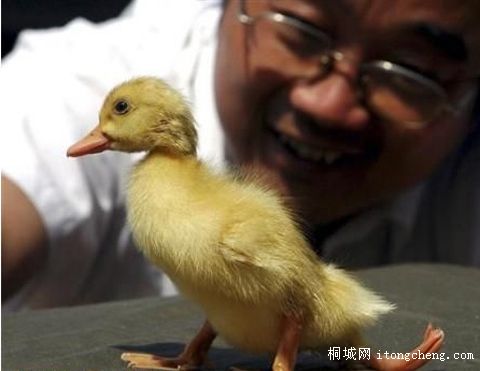 ��Ҳ�Ҫ��������ѽ���������ȥ�����Ķ��ǻ���